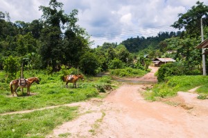 Laos_low-0024